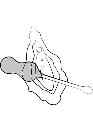 Boules de Geisha Romp Cello