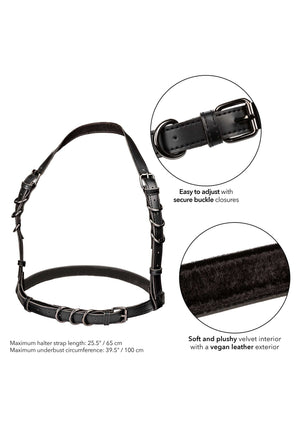 Accessoire BDSM CalExotics Halter Buckle Harness
