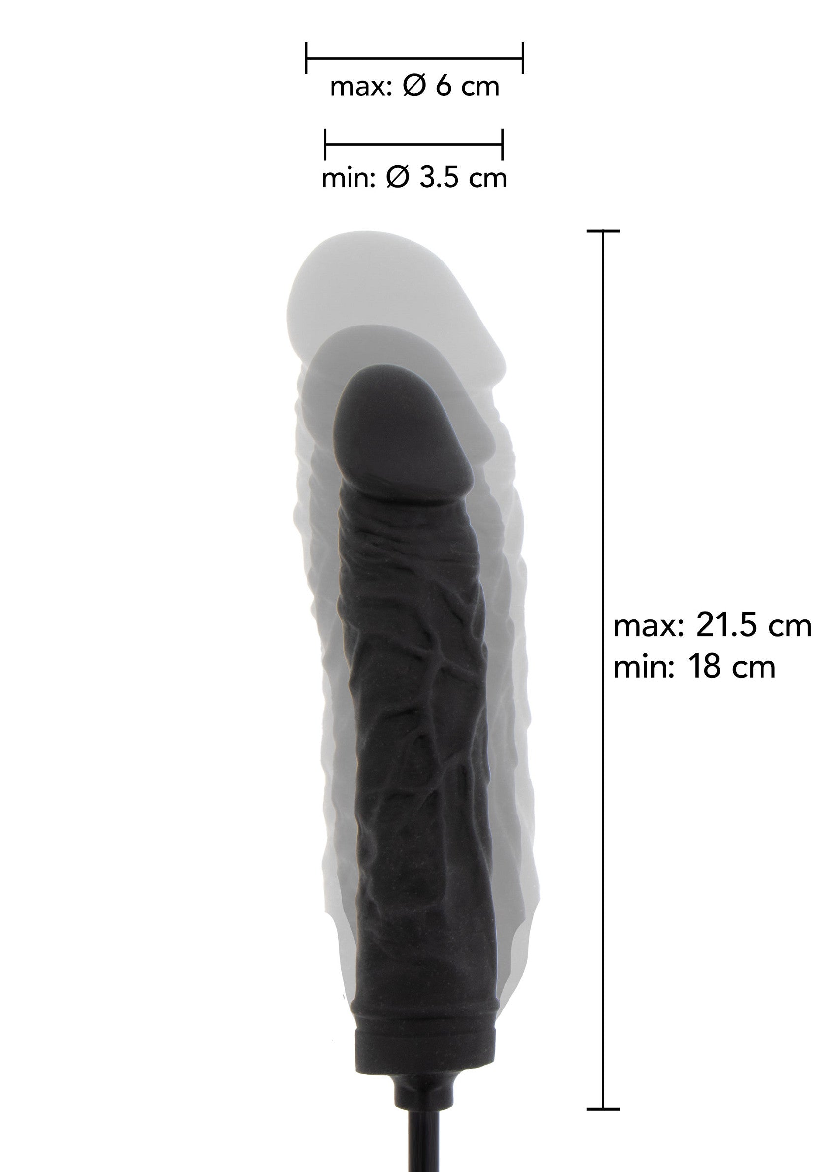 Jouet anal Hidden Desire Inflatable Dong Advanced