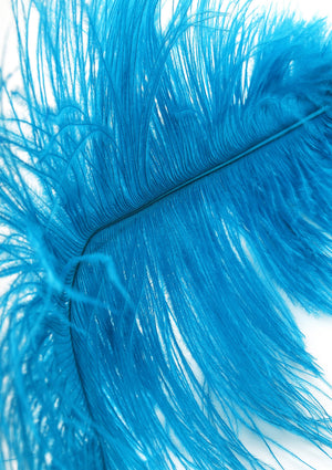 Accessoire BDSM Hidden Desire Double Feather Tickler
