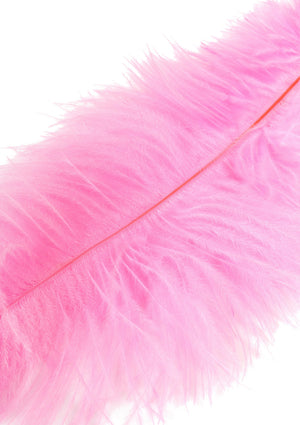 Accessoire BDSM Hidden Desire Double Feather Tickler