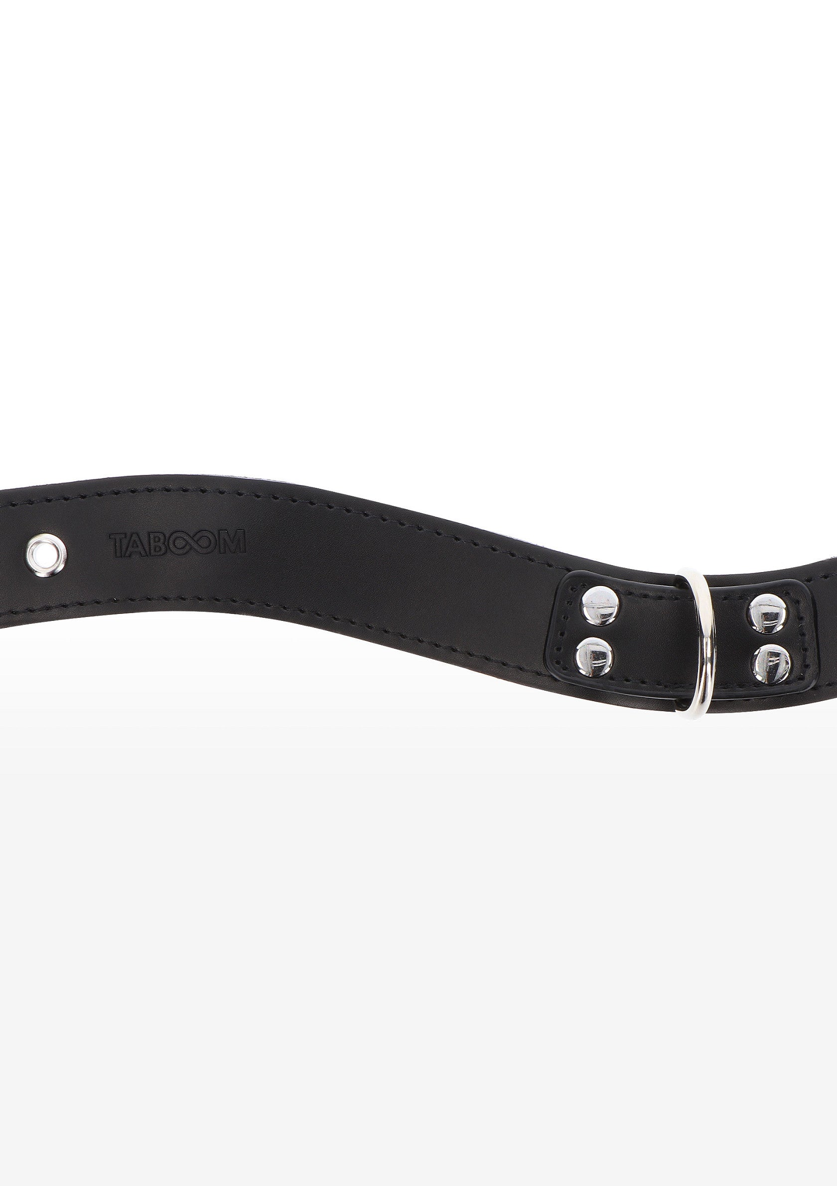 Accessoire BDSM Taboom Elegant D-Ring Collar