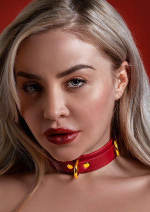 Accessoire BDSM Taboom D-Ring Collar Deluxe