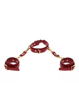 Accessoire BDSM Taboom D-Ring Collar and Wrist Cuffs