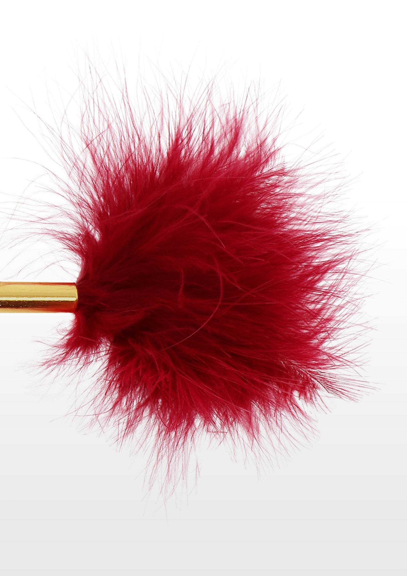 Accessoire BDSM Taboom Feather Tickler