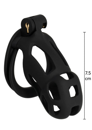 Accessoire BDSM Hidden Desire Penis Prison Cock Cage Regular