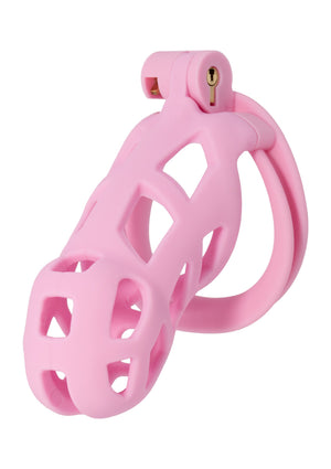 Accessoire BDSM Hidden Desire Penis Prison Cock Cage Long