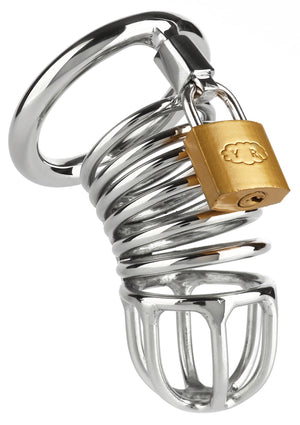 Accessoire BDSM Mr. Steel Ring Master Chastity Device