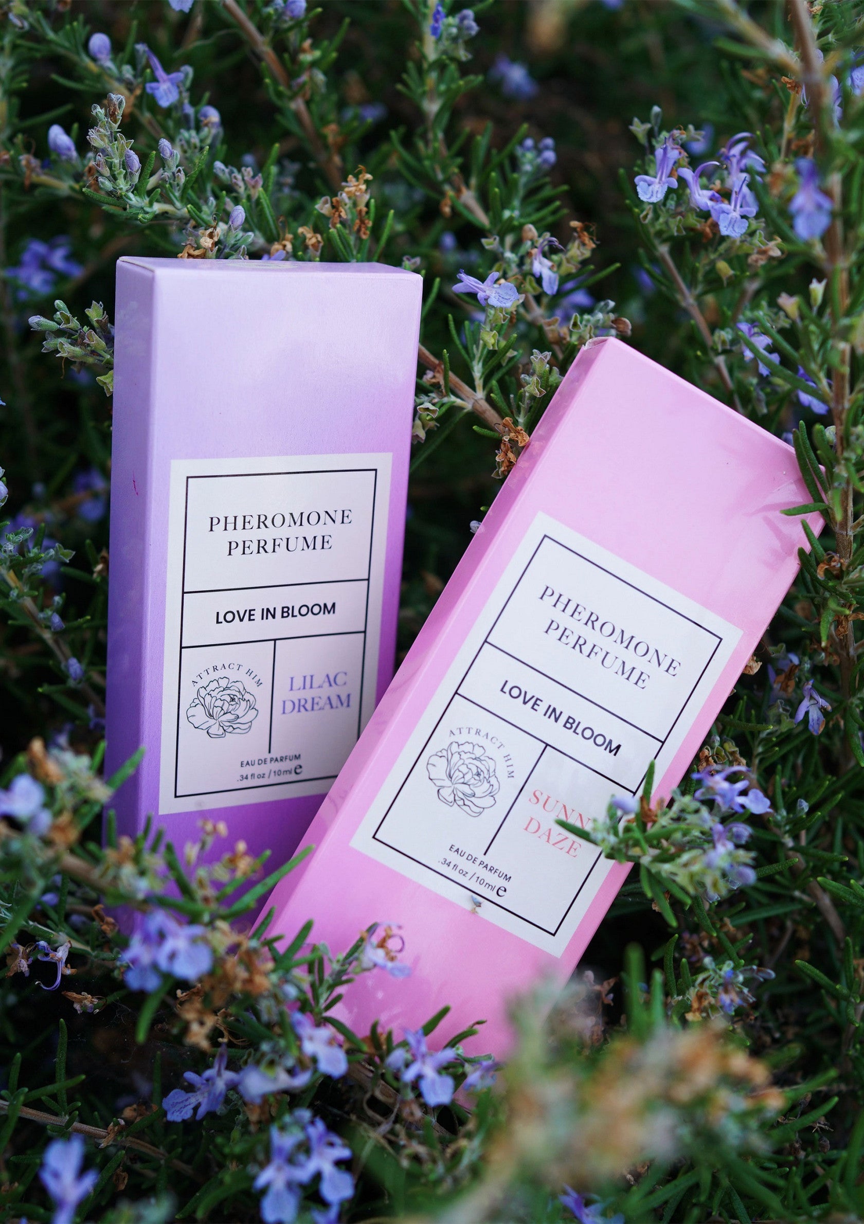 Parfum aux phéromones Eye of Love Phero Parfum Attract Him