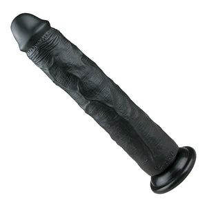 Dildo réaliste XXL avec ventouse EasyToys - 27 cm - Noir