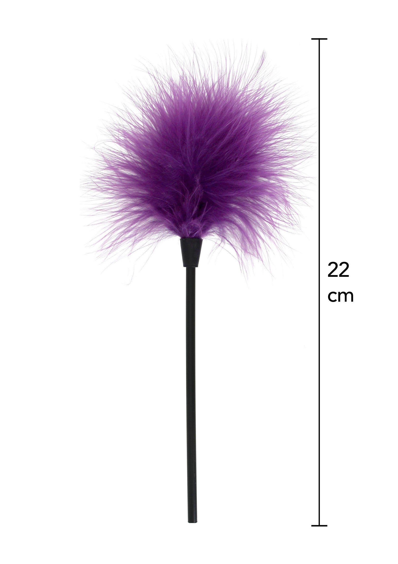 Accessoire BDSM ToyJoy Sexy Feather Tickler