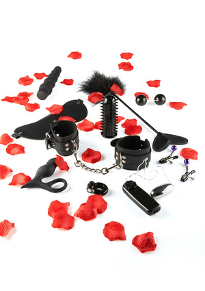 Jeu coquin ToyJoy Amazing Pleasure Sex Toy Kit