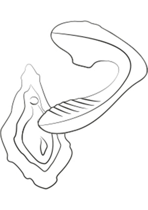 Stimulateur Romp Reverb