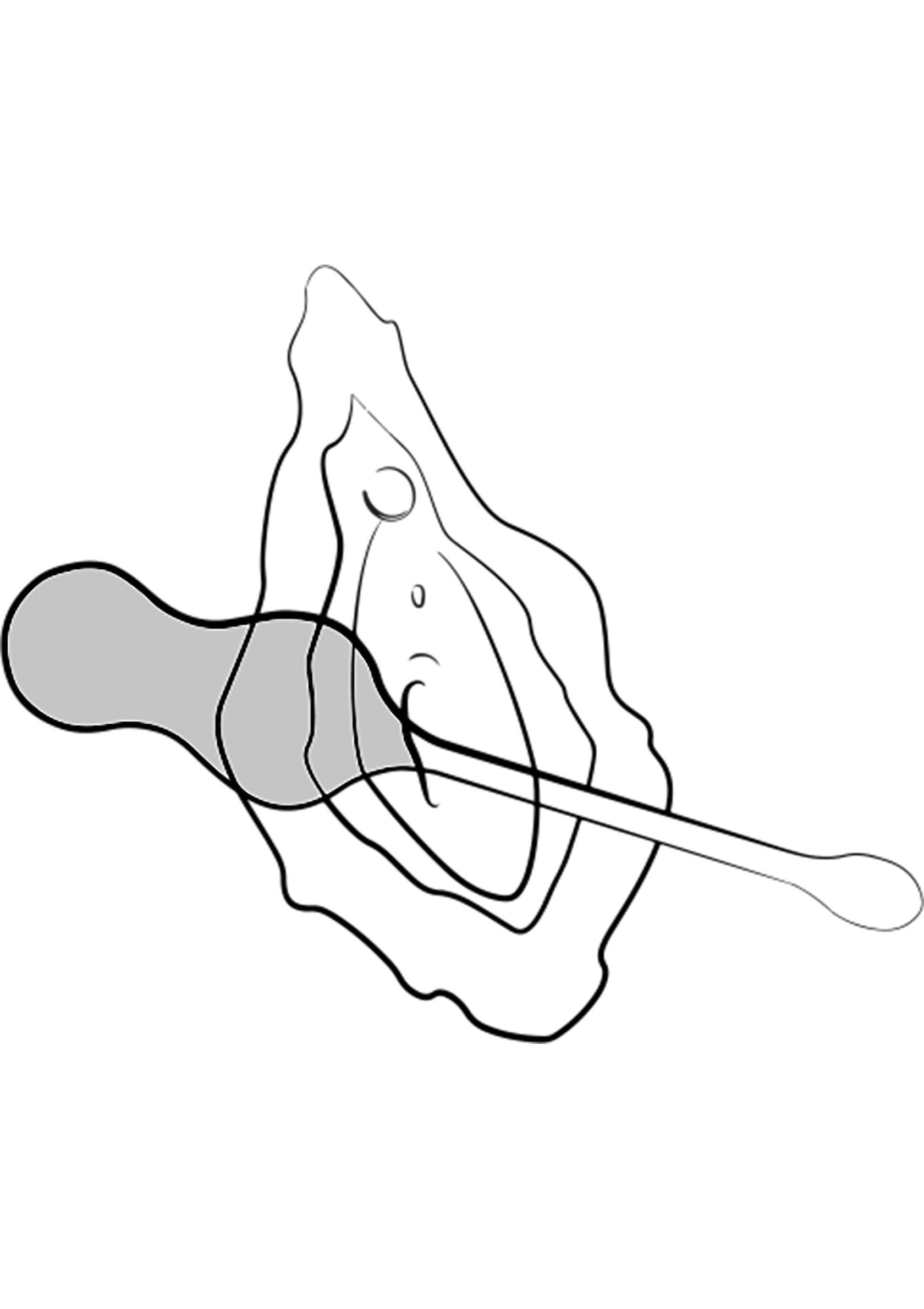 Boules de Geisha Romp Cello