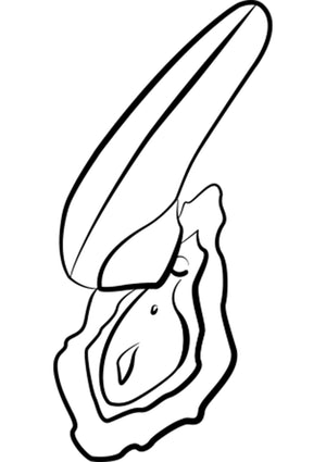 Stimulateur Romp Switch X