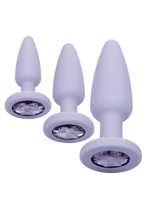 Jouet anal CalExotics Crystal Booty Kit