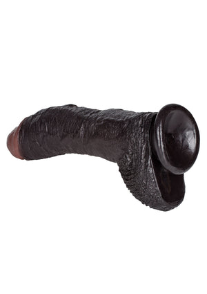 Dildo CalExotics Sean Michaels Dong