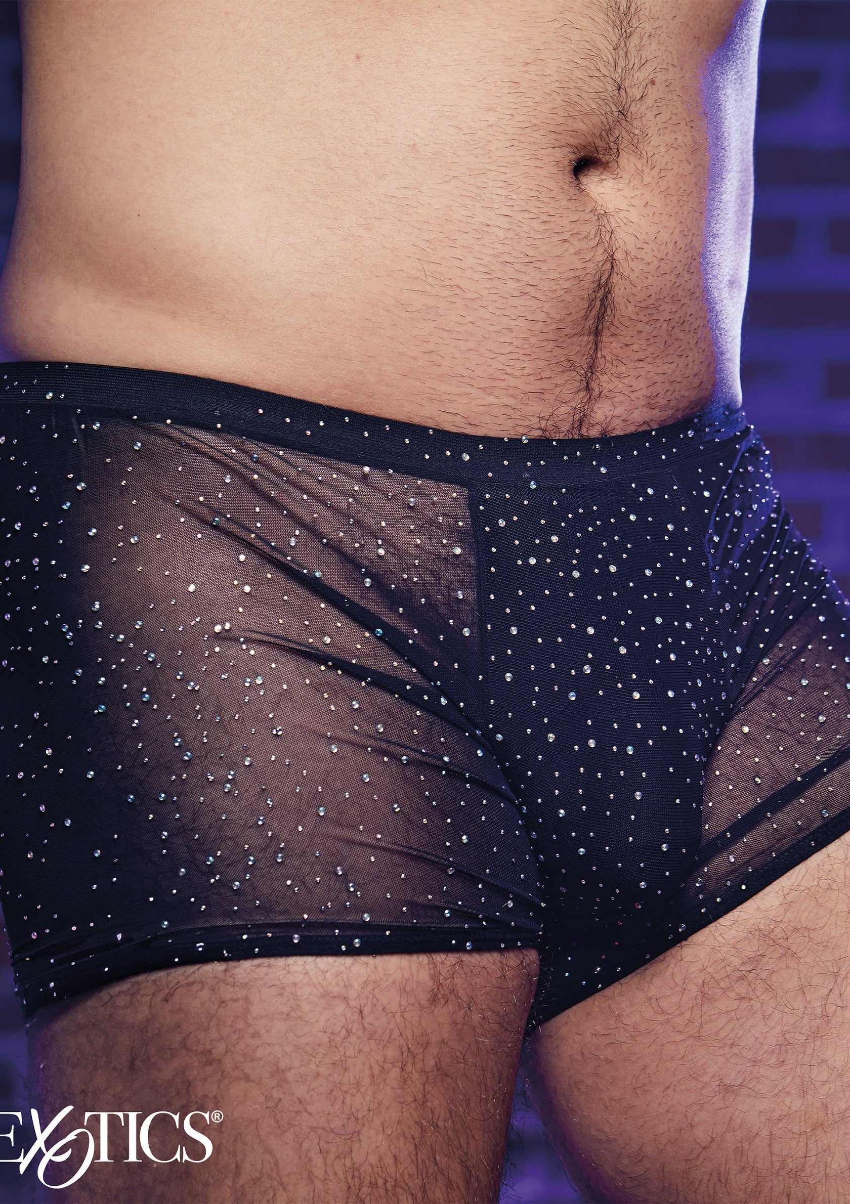 Lingerie CalExotics Radiance Boxer Briefs