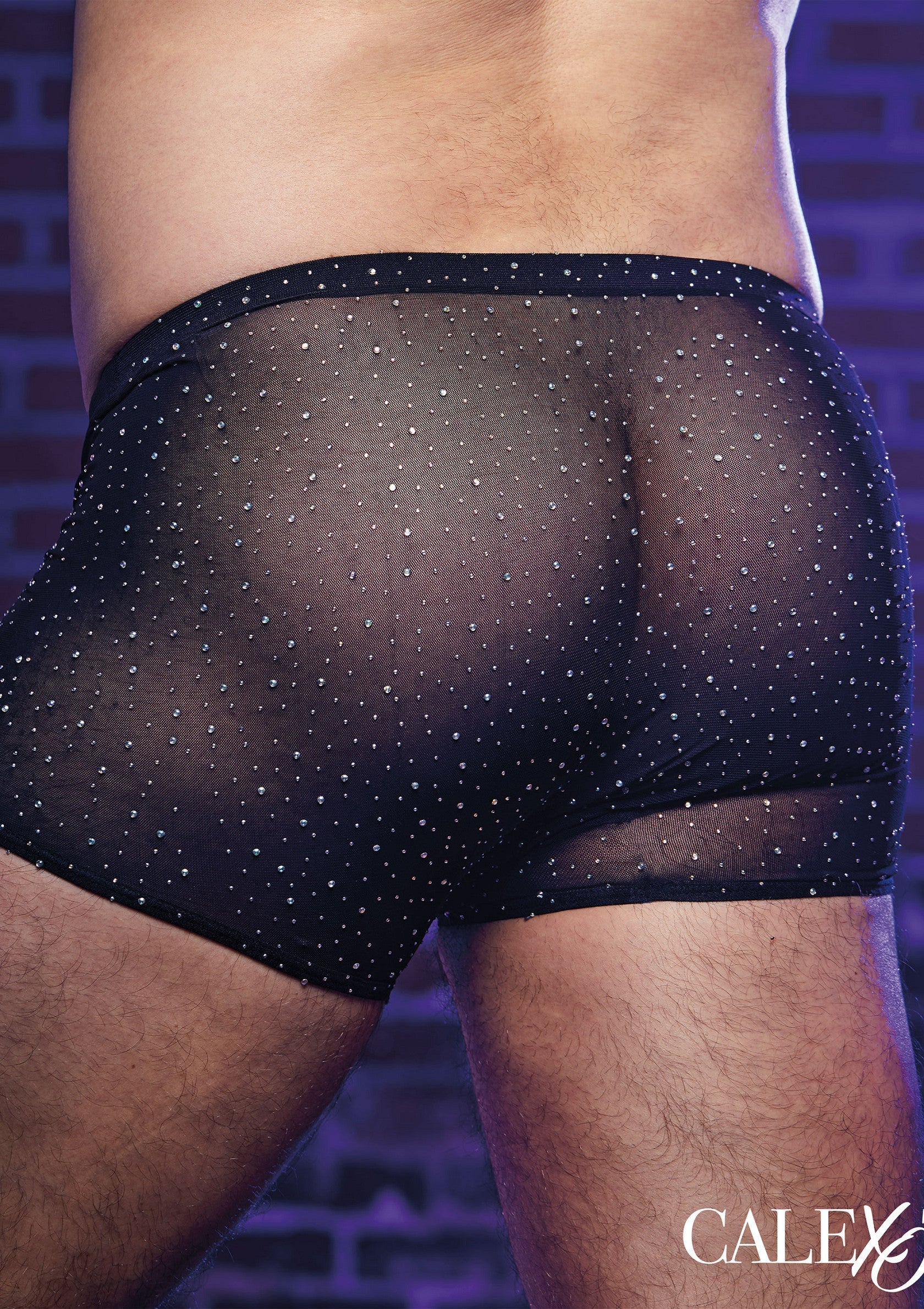 Lingerie CalExotics Radiance Boxer Briefs