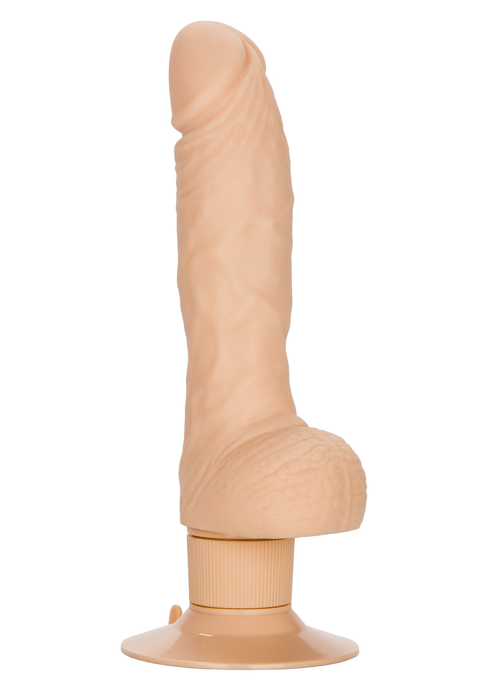 Dildo CalExotics Shower Stud Super Stud
