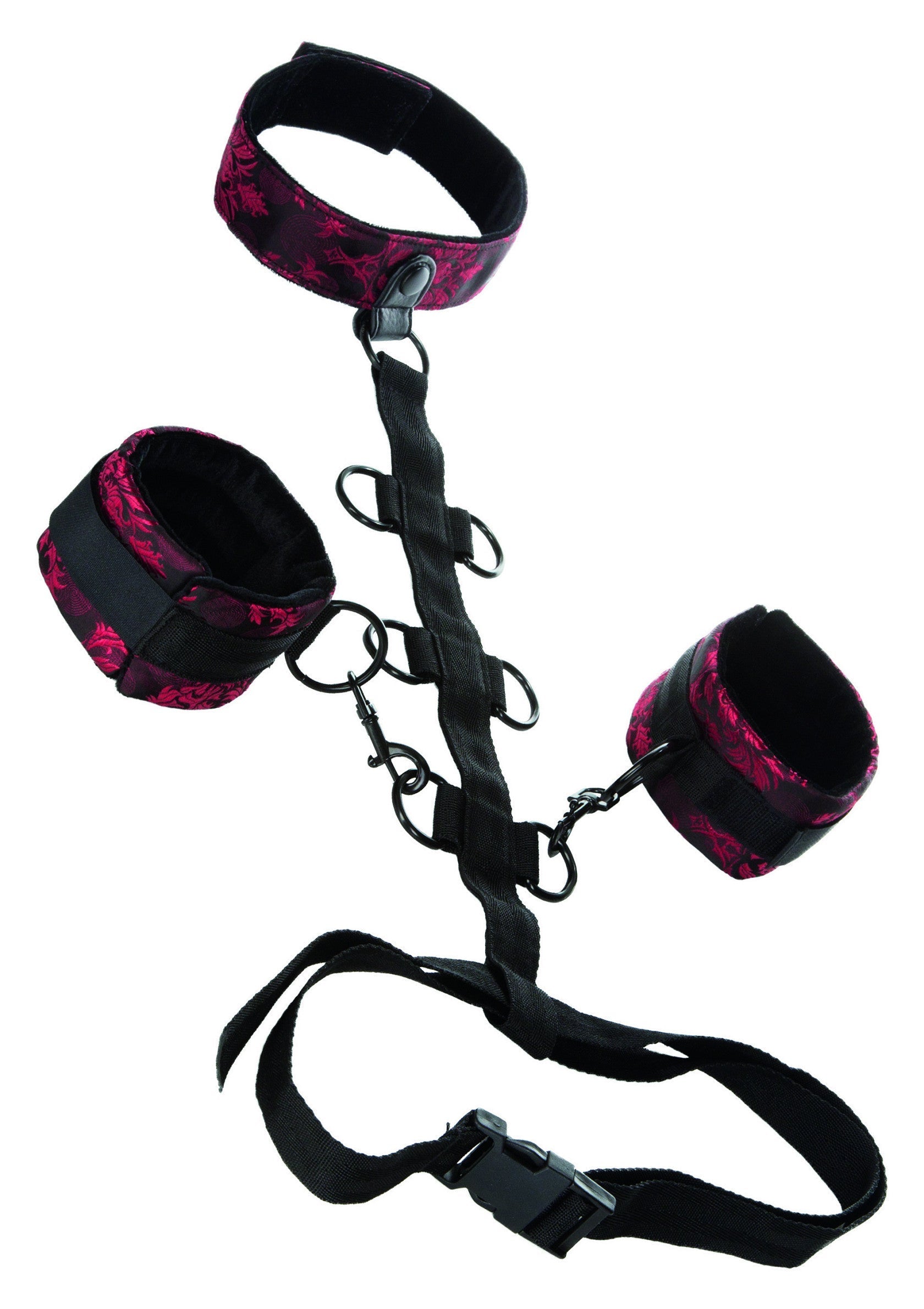 Accessoire BDSM CalExotics Scandal Collar Body Restraint