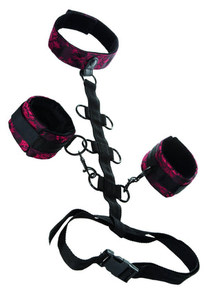 Accessoire BDSM CalExotics Scandal Collar Body Restraint