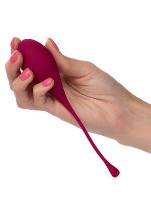 Boules de Geisha CalExotics Kegel Training 5 pcs
