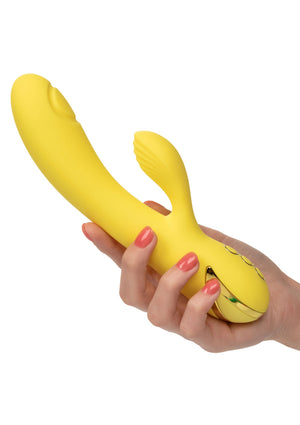 Vibromasseur CalExotics San Diego Seduction