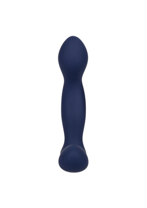 Jouet anal CalExotics Viceroy Expert Probe
