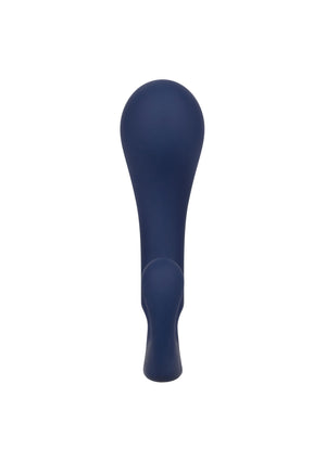 Jouet anal CalExotics Viceroy Direct Probe