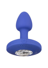 Jouet anal CalExotics Vibrating Probe Small