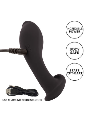 Jouet anal CalExotics Liquid Silicone Flex Probe