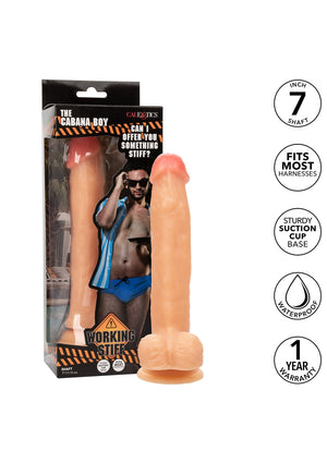 Dildo CalExotics Working Stiff The Cabana Boy