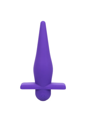 Jouet anal CalExotics High Intensity Probe