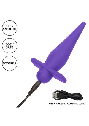 Jouet anal CalExotics High Intensity Probe