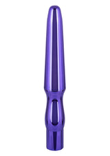 Jouet anal CalExotics Rechargeable Anal Probe