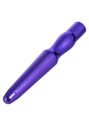Jouet anal CalExotics Rechargeable Anal Probe