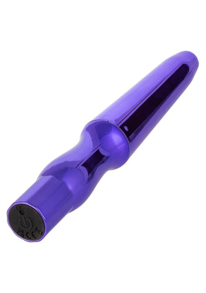 Jouet anal CalExotics Rechargeable Anal Probe