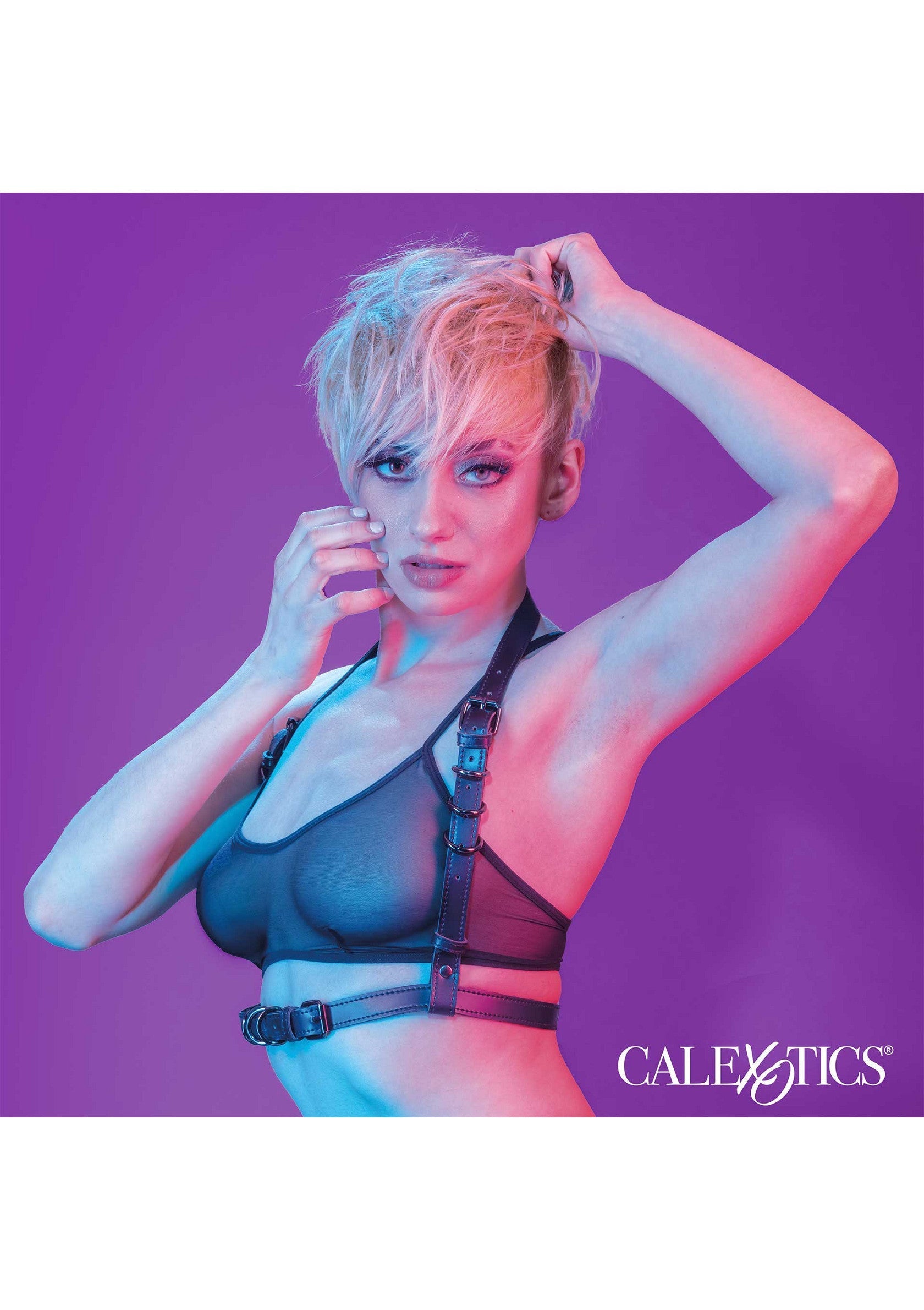 Accessoire BDSM CalExotics Halter Buckle Harness