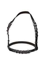 Accessoire BDSM CalExotics Halter Buckle Harness Plus