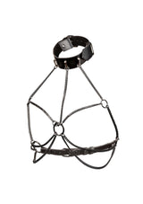 Accessoire BDSM CalExotics Chain Collar Harness
