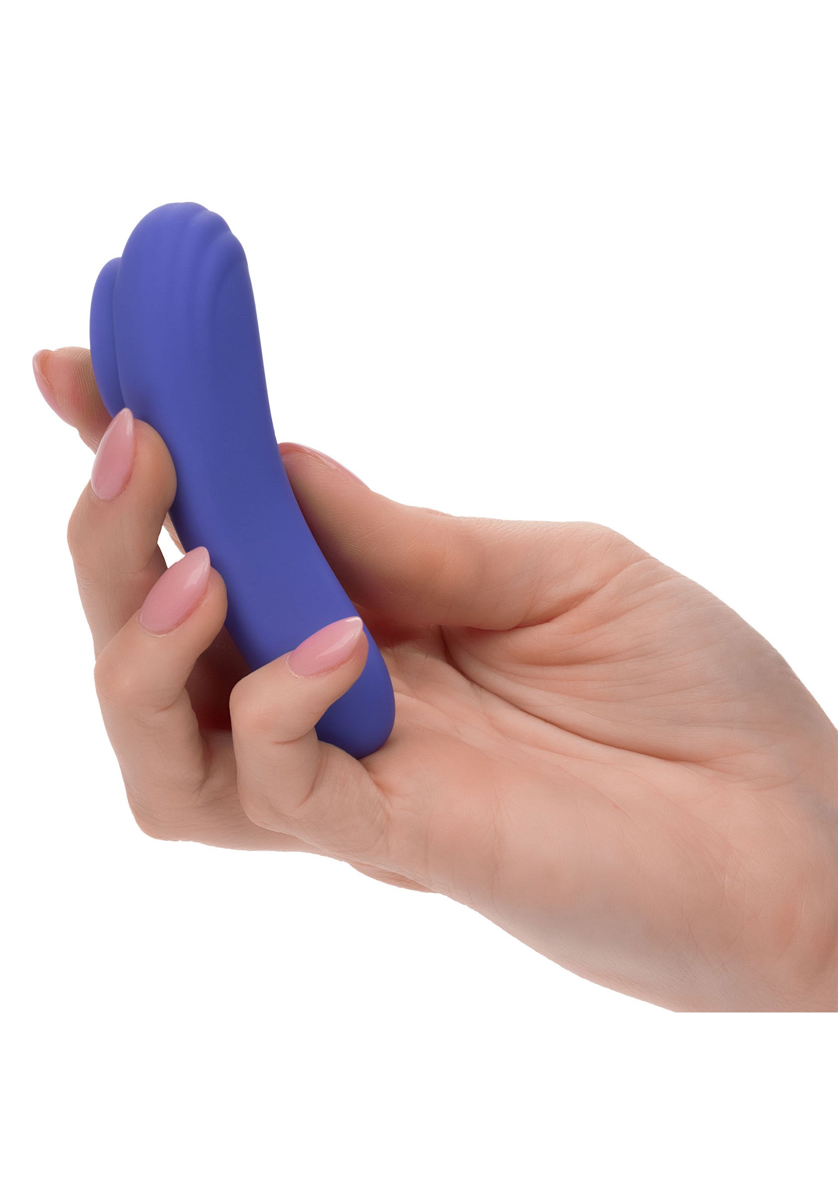 Stimulateur CalExotics Calex Connect Panty Teaser