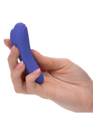 Stimulateur CalExotics Calex Connect Panty Teaser