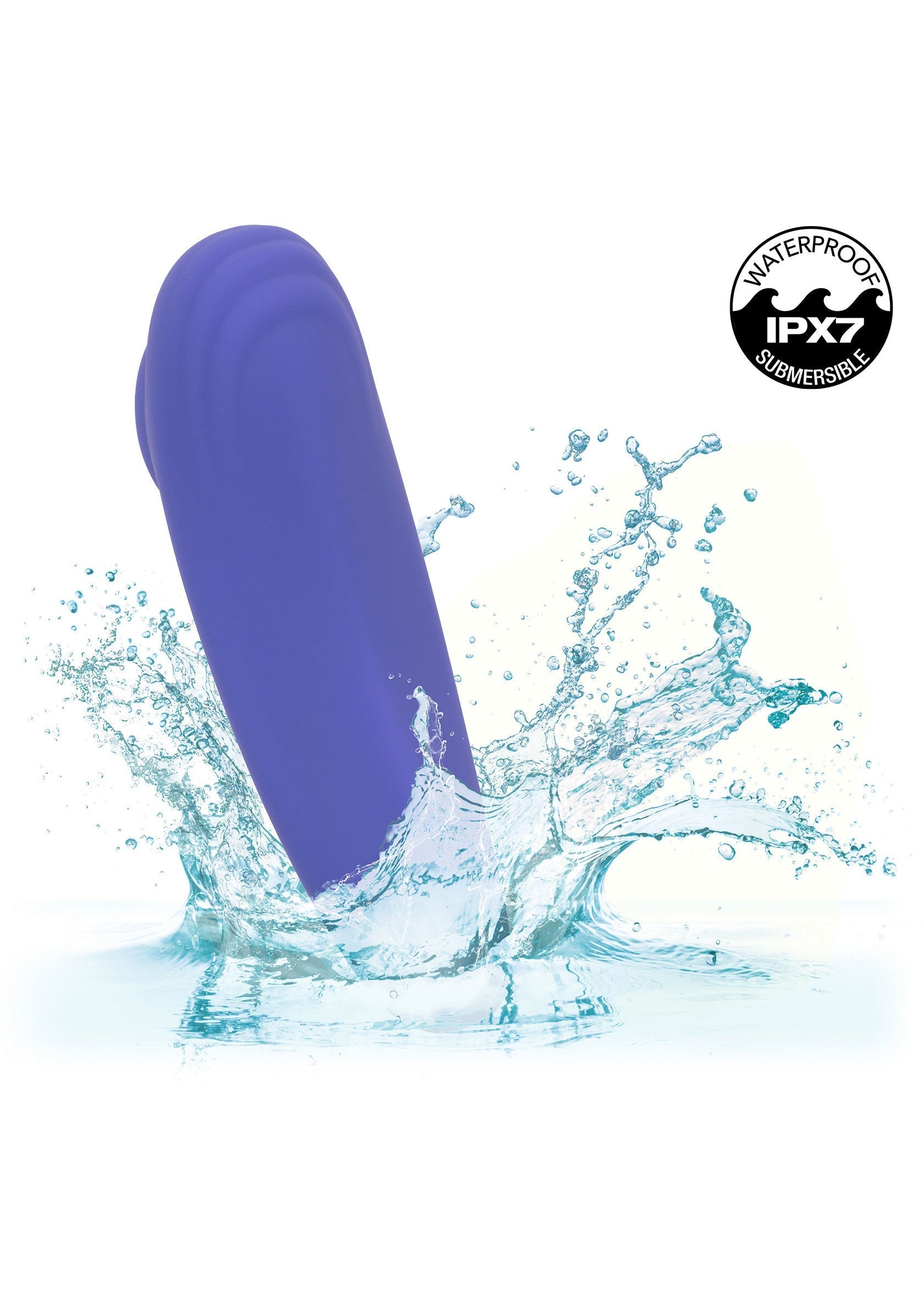 Stimulateur CalExotics Calex Connect Panty Teaser