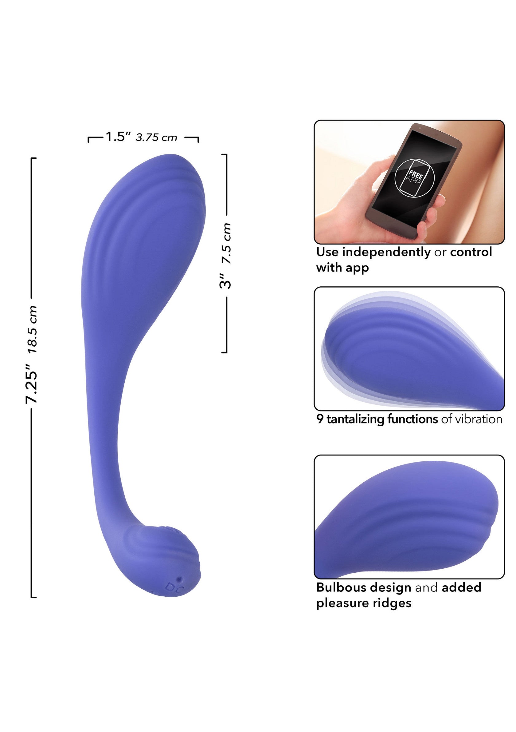 Boules de Geisha CalExotics Calex Connect Kegel Exerciser
