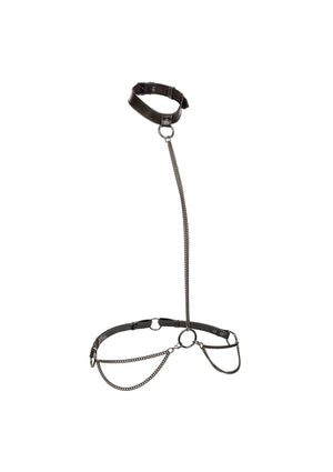 Accessoire BDSM CalExotics Chain Halter & Collar Plus