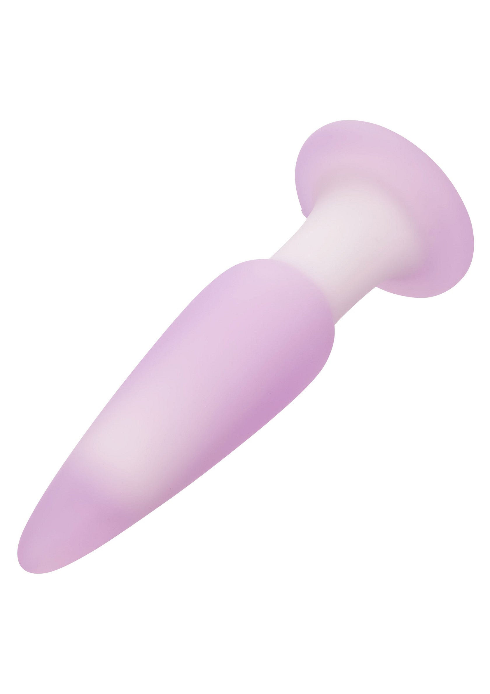 Jouet anal CalExotics Lavender Haze Slender Probe