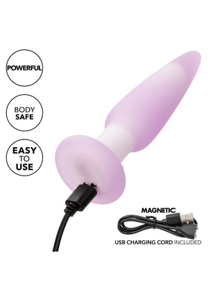 Jouet anal CalExotics Lavender Haze Slender Probe