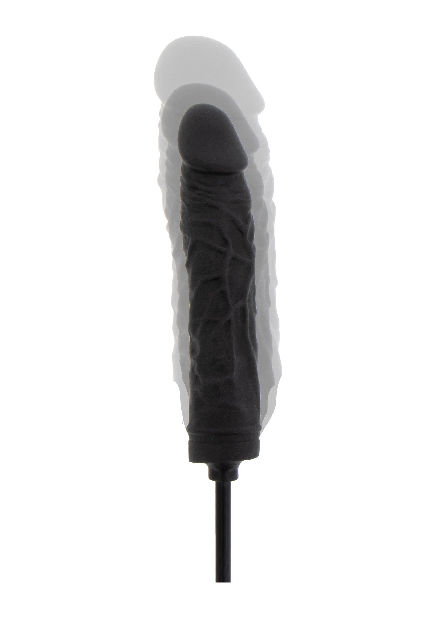 Jouet anal Hidden Desire Inflatable Dong Advanced