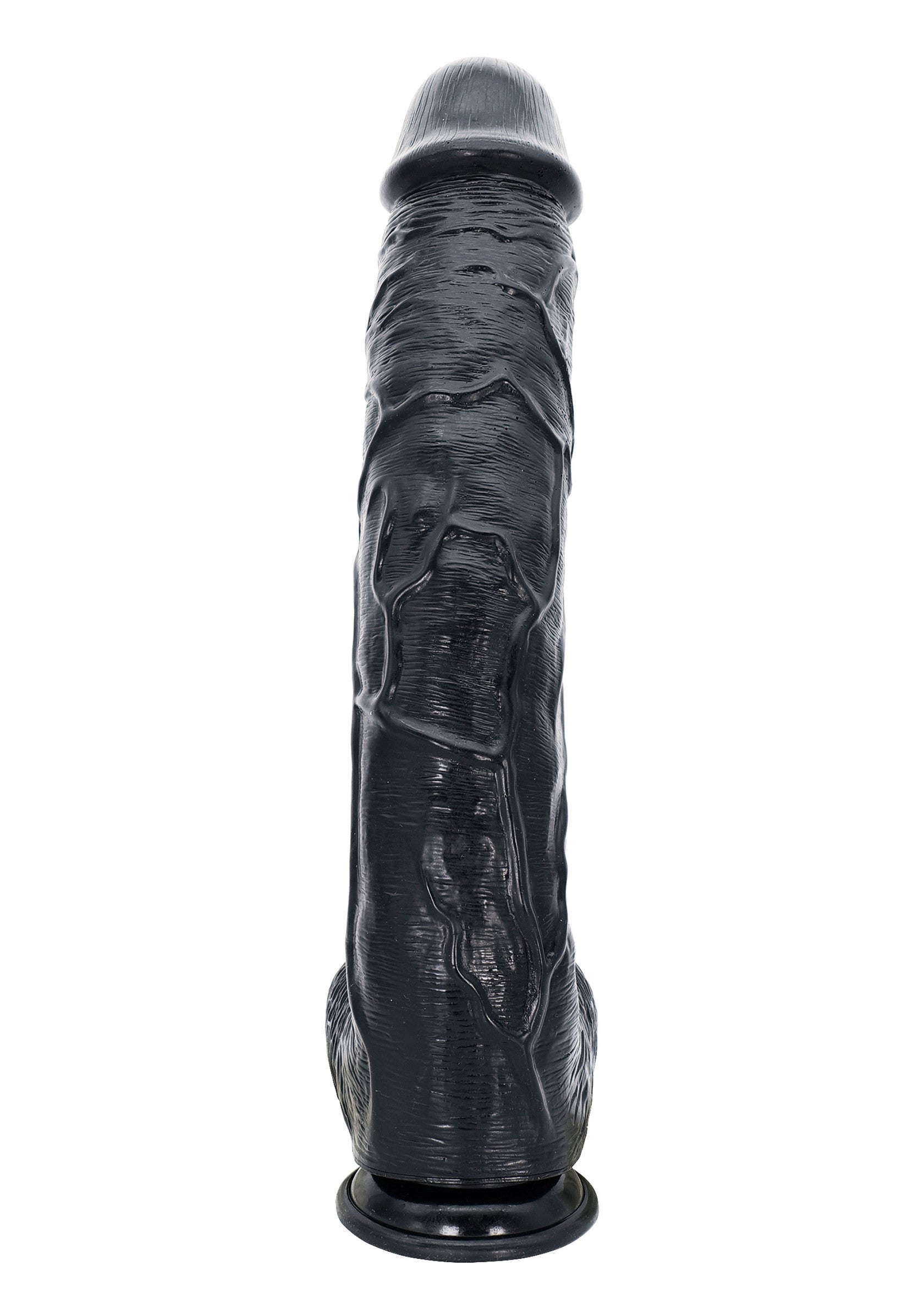 Jouet anal Hidden Desire Dong 52 cm